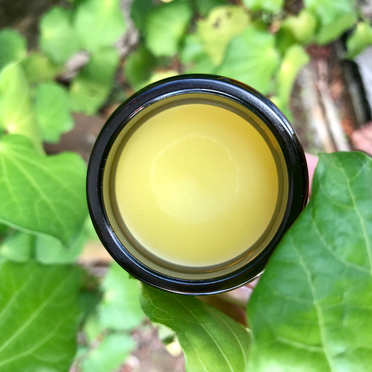 kawakawa balm