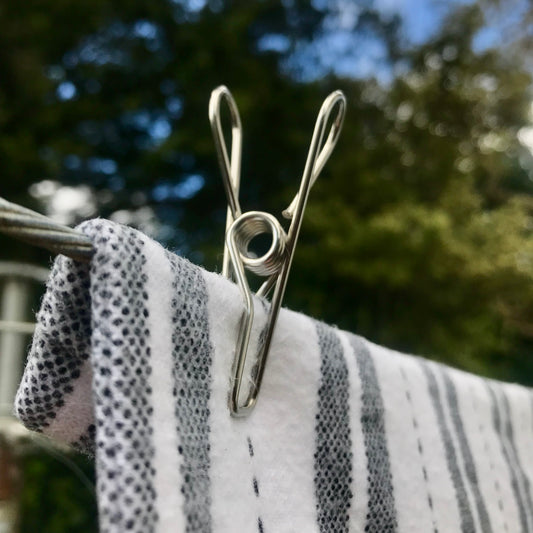 Stainless steel clothes pegs